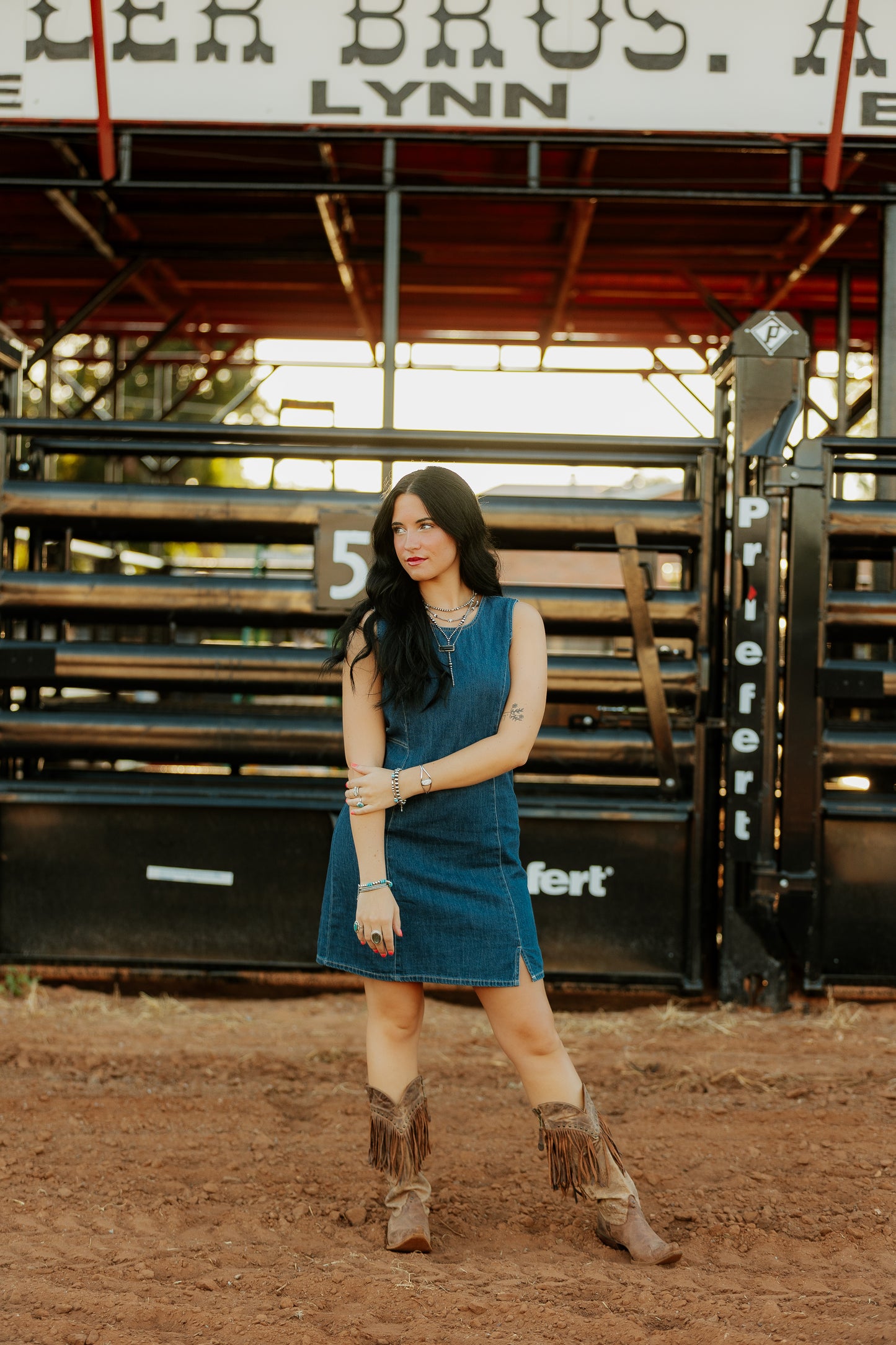 Mylee Denim Dress