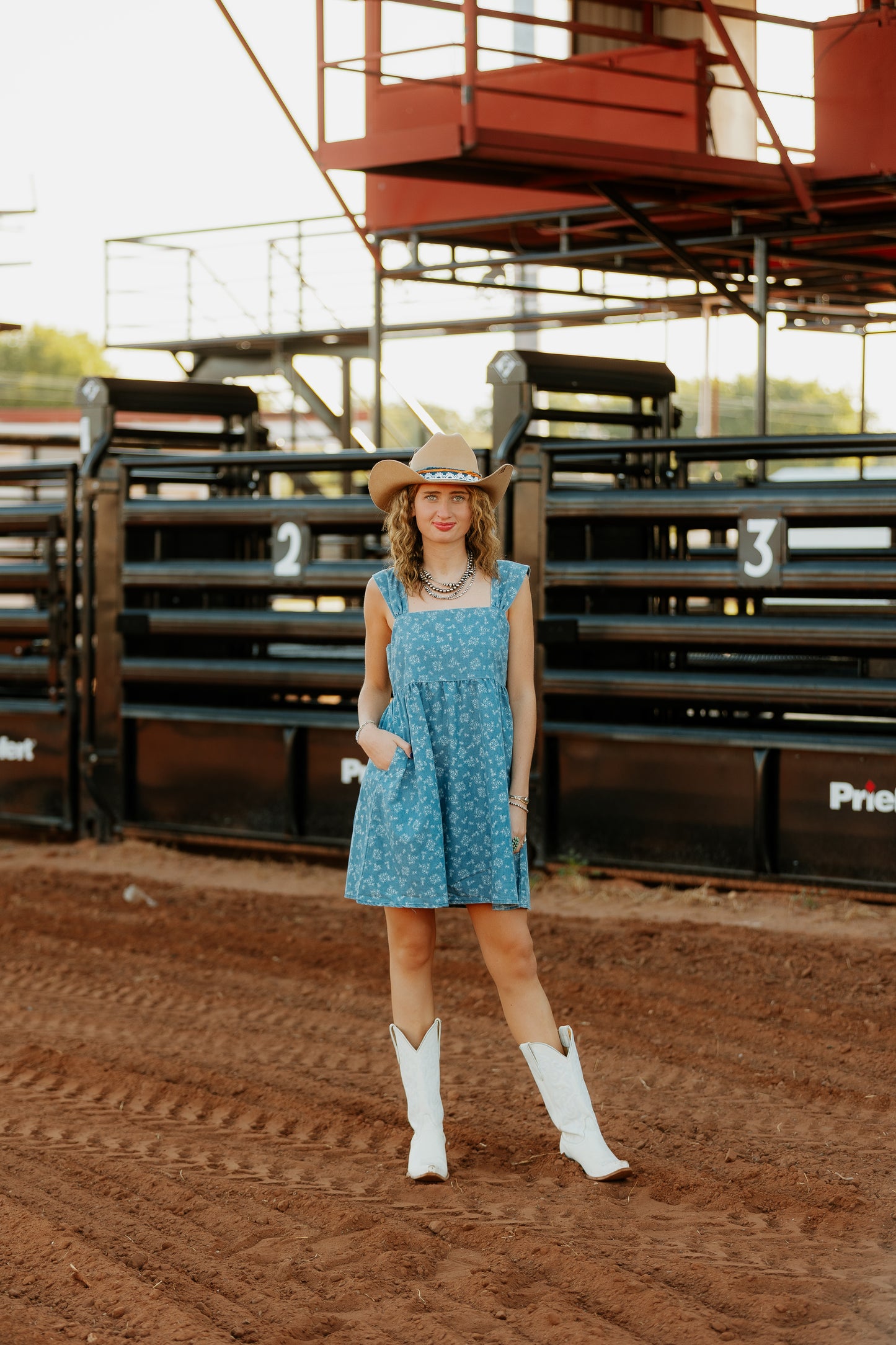 Pierre Dress